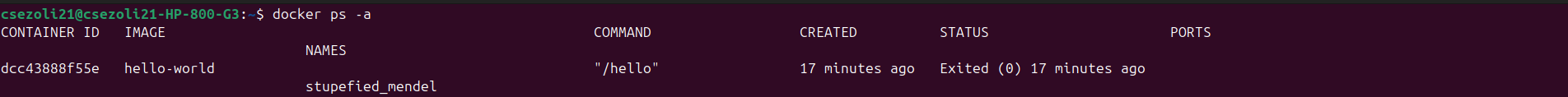 Docker Hello World example not running